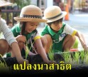 แปลงนาสาธิตโรงเรียนทรัพย์สถิตวิทยาคาร ระดับชั้นอนุบาล