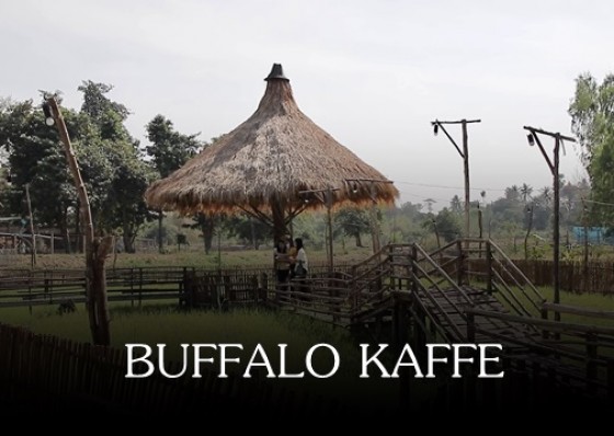 ชิลล์ๆกับร้านกาแฟบ้านดิน รสชาติดี ฟินบรรยากาศถ่ายรูปเช็คอิน Buffalo Kaffé (บัฟฟาโล่ กาเฟ่) มาแล้วต้องติดใจ 