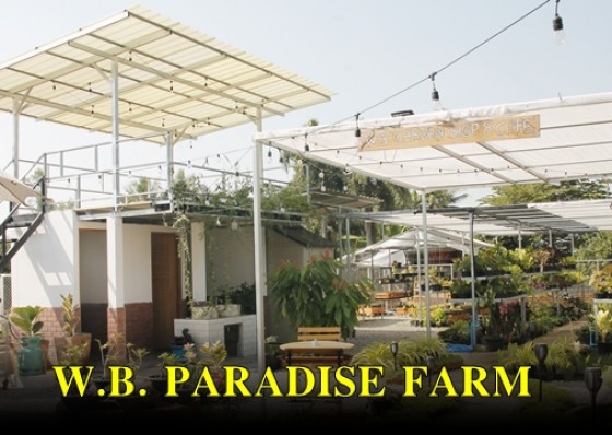 W.B. Paradise farm บรรยากาศดีน่านั่ง ถ่ายรูปสวยหลากหลายสไตล์ จุดเช็คอินห้ามพลาด