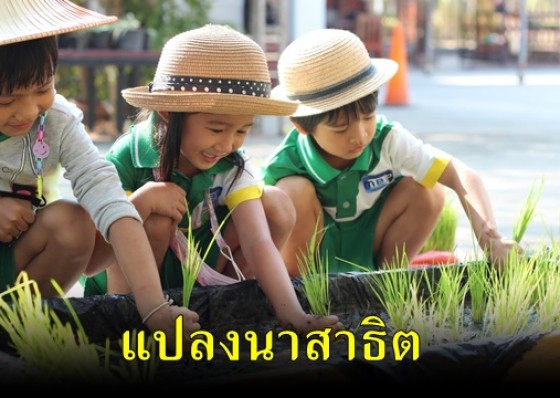 แปลงนาสาธิตโรงเรียนทรัพย์สถิตวิทยาคาร ระดับชั้นอนุบาล