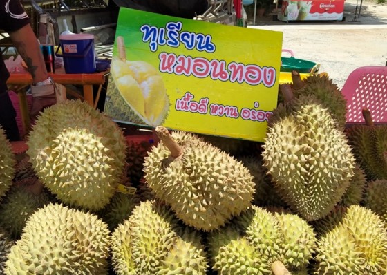 ร้านทุเรียนบังเบนซ์ วางจำหน่ายแล้วถนนสายไปพิจิตร คัดสรรมาแต่เกรดดีๆ รับประกันคุณภาพ 