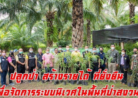 กำแพงเพชรจัดกิจกรรมปลูกป่า สร้างรายได้ ที่ยั่งยืน เพื่อจัดการระบบนิเวศในพื้นที่ป่าสงวนเพื่อแนวเชื่อมต่อป่าอย่างยังยื่น และสร้างการรับรู้ให้ชุมชน