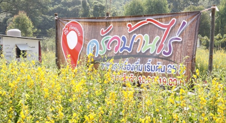 ครัวบ้านไร่ คาเฟ่บรรยากาศดี  อากาศปลอดโปร่ง สายธรรมชาติต้องแวะ