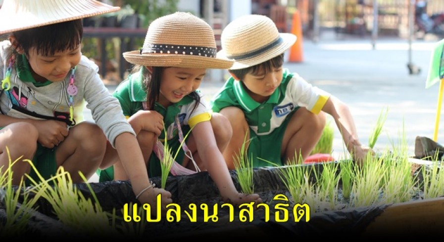 แปลงนาสาธิตโรงเรียนทรัพย์สถิตวิทยาคาร ระดับชั้นอนุบาล
