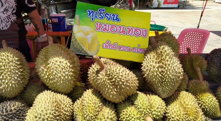 ร้านทุเรียนบังเบนซ์ วางจำหน่ายแล้วถนนสายไปพิจิตร คัดสรรมาแต่เกรดดีๆ รับประกันคุณภาพ 