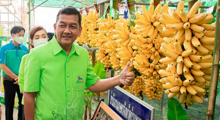 มอบรางวัลผู้ชนะการประกวดกล้วยไข่สุก – ดิบ ในงาน”ประเพณีสารทไทย – กล้วยไข่และของดีเมืองกำแพง 
