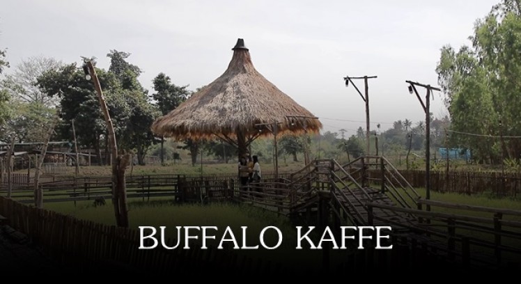 ชิลล์ๆกับร้านกาแฟบ้านดิน รสชาติดี ฟินบรรยากาศถ่ายรูปเช็คอิน Buffalo Kaffé (บัฟฟาโล่ กาเฟ่) มาแล้วต้องติดใจ 