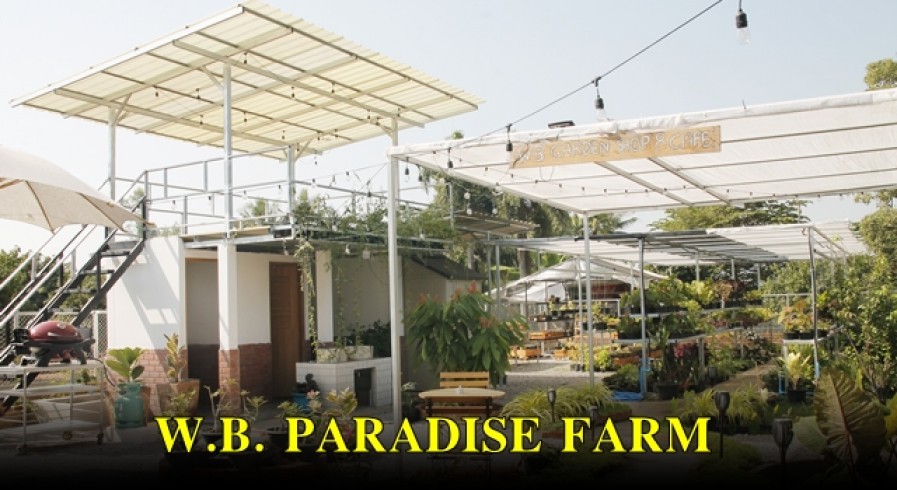 W.B. Paradise farm บรรยากาศดีน่านั่ง ถ่ายรูปสวยหลากหลายสไตล์ จุดเช็คอินห้ามพลาด