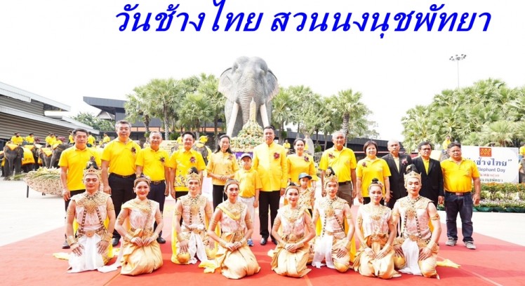 วันช้างไทย สวนนงนุชพัทยา จัดพิธีฮ้องขวัญ พร้อมจัดเค้กผลไม้ยักษ์กว่า 3 ตัน