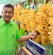  มอบรางวัลผู้ชนะการประกวดกล้วยไข่สุก – ดิบ ในงาน”ประเพณีสารทไทย – กล้วยไข่และของดีเมืองกำแพง 